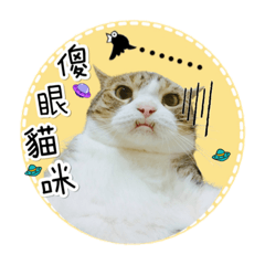 麻糬生活日常❤️