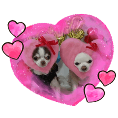 mimi_20200916131224