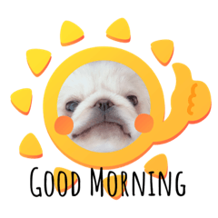 waoooon_20200916130134