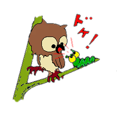 Zukkun of owl