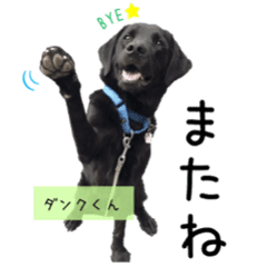 Japan Service Dog Association Line Stickers Line Store