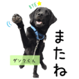 日本介助犬協会かわいいワンちゃんスタンプ