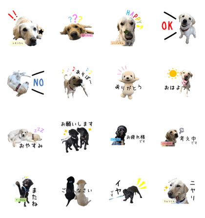 スタンプ無料get 日本介助犬協会かわいいワンちゃんスタンプ Stampick スタンピック