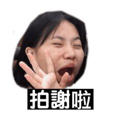 笨蛋們真的是笨蛋