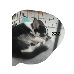 mizuki_20200916163423