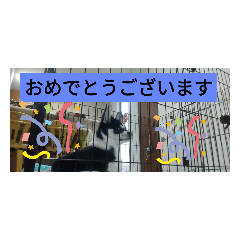 mizuki_20200916185143