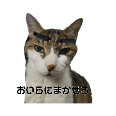 tetsu_20200916235817