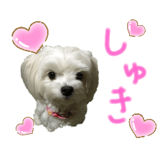 risa_20200917002513
