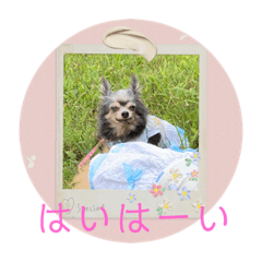 yukari_20200917014226