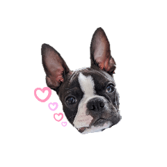 kaito_20200916200006