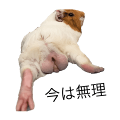 yukari_20200916200148