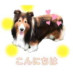 hana_20200916213846