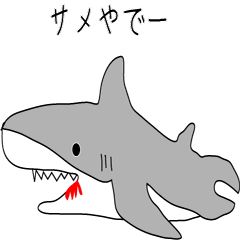 SHARK_for daily use