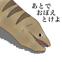 marine creaturess