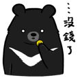Formosan Moon Bear 2