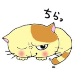 Cat Nya-san sticker [Daily]