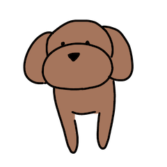 the little dog cocoa