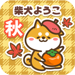 Shiba Youko in Autumn 2