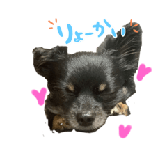 risa_20200917113604