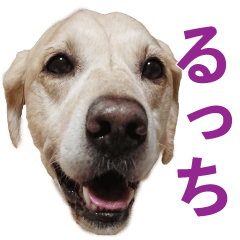 RucchiSticker
