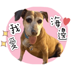 林有錢 錢妹妹