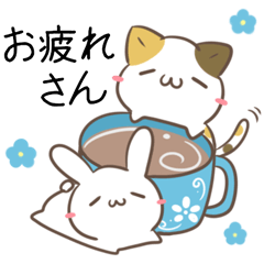 calico cat &  Rabbit of Gifu dialect