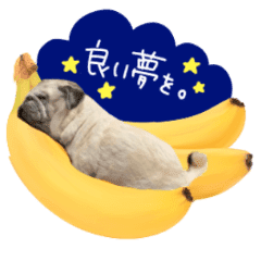 かわいいパグのてんちゃんです Line スタンプ Line Store かわいいパグのてんちゃんです Line スタンプ Line Store
