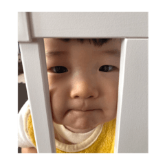 Sumire_20200917133902