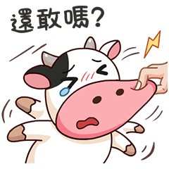 Momo Cow : Daily Life