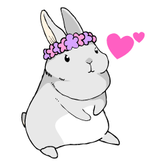 The rabbit girl who is in love