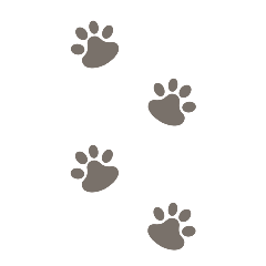 footprints of animals