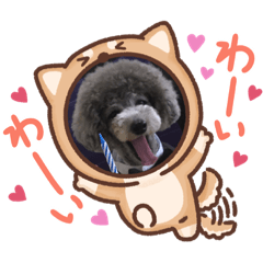 YUKARI_20200917151026