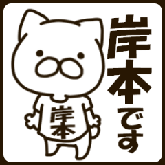 KISHIMOTO-cat