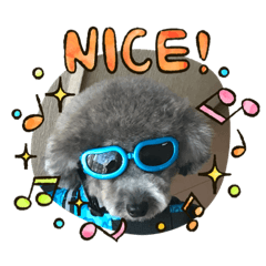 YUKARI_20200917154453