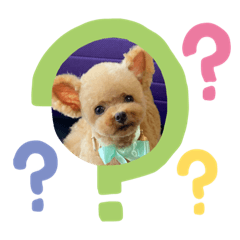 YUKARI_20200917160921