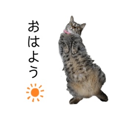 mizuki_20200917163139