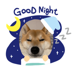 peggy_20200917174225