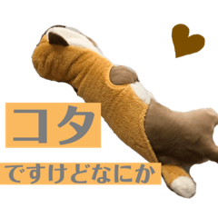 miki_20200917183240