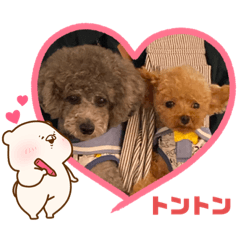 YUKARI_20200917203943