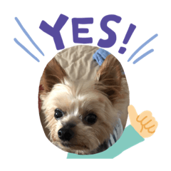 CoCoa_20200917210244