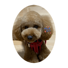 kazuki_20200917211103