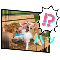 yukari_20200917215353