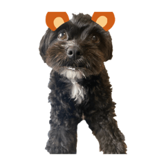 satoshi_20200917201340