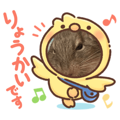 arisa_20200917214921