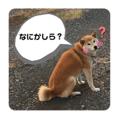 Kaho_20200917220618