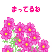 Animated Stickers to feel the nature