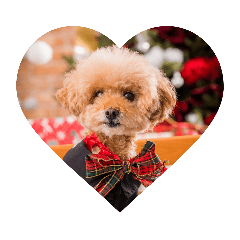 duffymaron._20200918110303