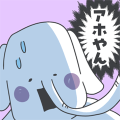 Elephant-Taro -casual conversation