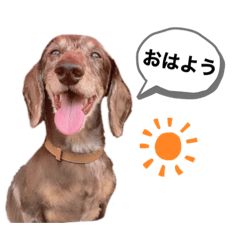 natsumi_20200918103903