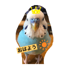 AKANEN_20200917213417